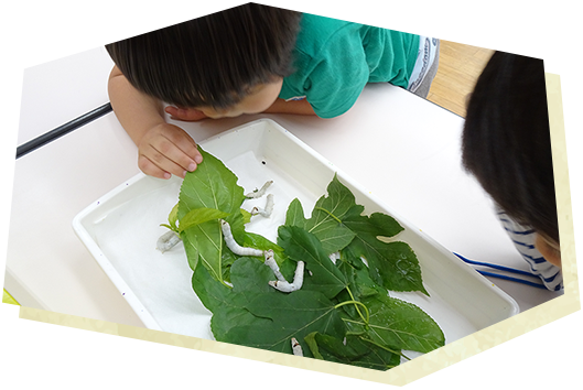 ‘ 生命 ’ を学ぶ